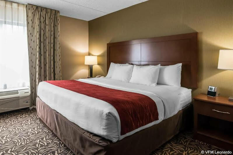 Clarion Inn & Suites - University Area Cortland Luaran gambar